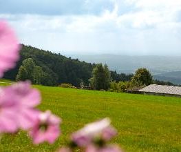Pension Jodlbauer Bild 15