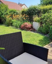 Rose Espaces Verts image 2