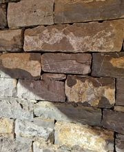 Dubach Gartenbau und -pflege GmbH Bild 2