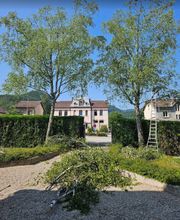 Satory Dylan image 8