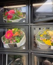 REIBOLD‘s Blumenautomat Bild 4