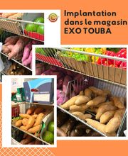 Exo Touba image 11