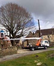 Mickael élagage image 10