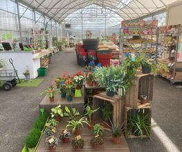 Dessapt Horticulture image 5