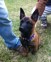 Defensive Tactics Academy e. K. Bild 6