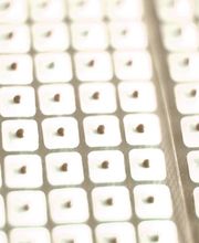 China-MedCare - Dr. Fang CHAN-Dewar Bild 10