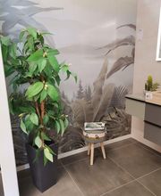 Grandbains Avranches (Saint-Senier) image 9