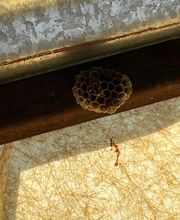 Solution 3D image 18