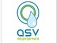 ASV Dégorgement SAS