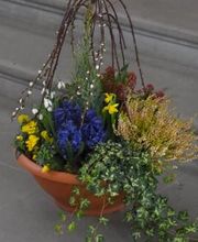 Bärtschi Blumen Pflanzen Floristik Bild 2