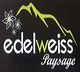 Edelweiss Paysage