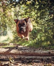 Adler Photographie Fotostudio mit Herz Bild 5