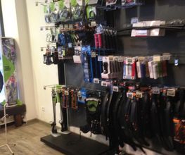 Fahr-Rad Bikeshop Bild 2