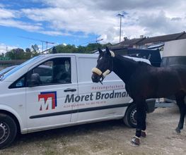 Moret - Brodmann AG Bild 5