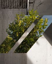 CEMEX Concreto Cd. Del Carmen imagen 3
