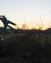 Baumdienst Breuker GbR Bild 3