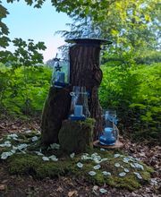 Wald-Zeremonien Bild 8