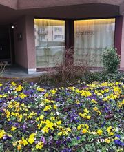 Praxis für Körpertherapie und Bewegung in Zürich - REalEASE Bild 1