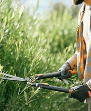 Garten Service Dean Patzelt Bild 2