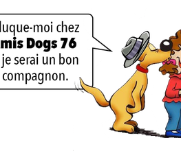 Amis Dogs 76 image 8