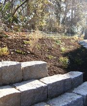 Widler Gartenbau GmbH Bild 4