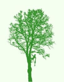 Haut Fil des branches