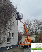 Habermann Hausmeisterservice & Zaunservice in Langen und Umgebung Bild 7