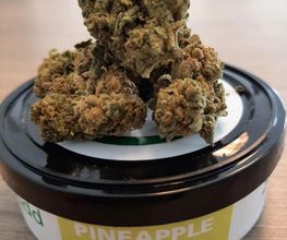 GREEN BUDD CBD PORNIC image 11