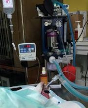 clinica veterinaria1.jpg