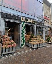 BLUME2000 Freiburg Bild 3