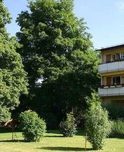 LEDER Garten- + Landschaftsbau Bild 4