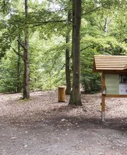 FriedWald Lehnin Bild 9