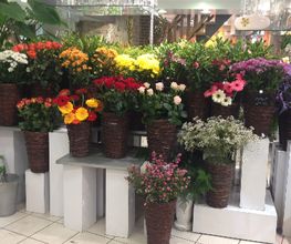 Royal Fleurs image 1