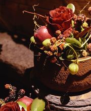 ART NATURAL stucki Bild 8