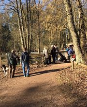 RolfsRudel Hundeschule / Rolf Matar Bild 18