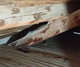 Protection Termite image 3