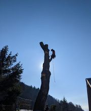 Au Gré Des Arbres image 14