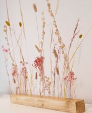 Logopädie Dorsten- Anika Klapsing Bild 4