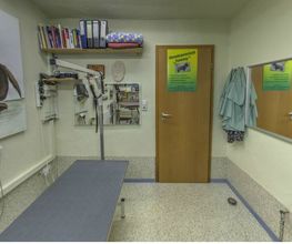 Hundesalon Pfiffikus Bild 6