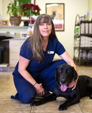 Topaz Veterinary Clinic image 4