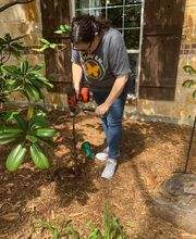 SafeHaven Pest Control image 3