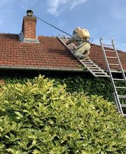 SOS Abeilles image 1