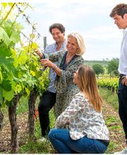 Chateau Roubine image 3