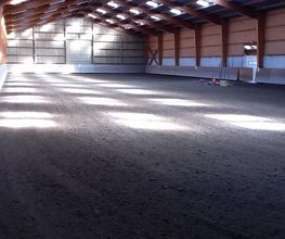 Centre Equestre De Sully image 10