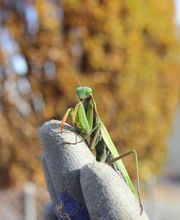 BIOCAVE Marc Güntert Bild 5