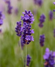 Qualis Vita AG Bild 5