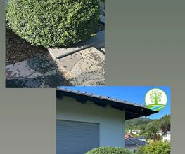 Traumplatz Garten- Gebäudemanagement Bild 3