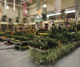 Jardinerie HORNBACH Riddes Bild 2