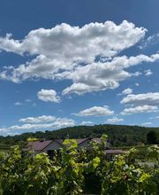Pearmund Cellars image 8