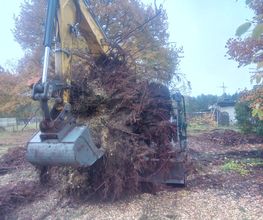 ND Gartenservice & Mehr Bild 4